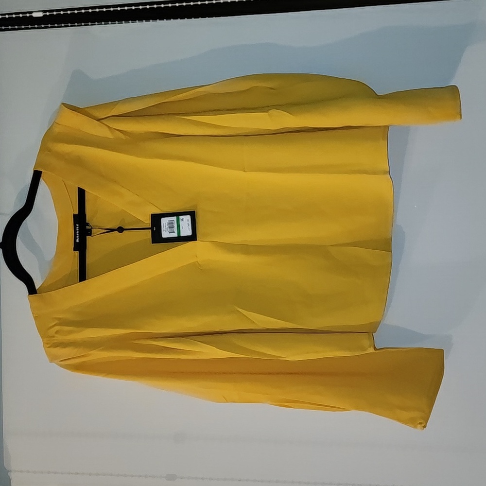 DKNY V-Neck Balloon Sleeve Top